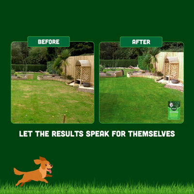envii Neuturine - Repairs Lawn Burn Spots Caused by Dogs - Safe for All ... - Removing Lawn Damage Caused By Dogs