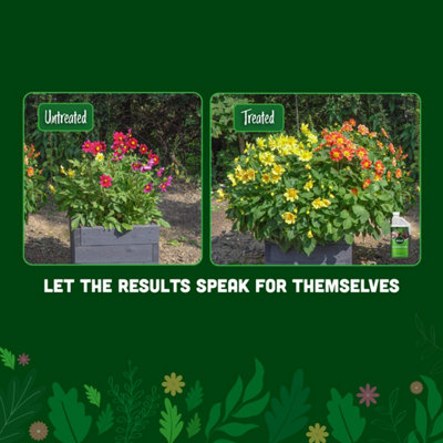 envii SeaFeed Xtra - Organic Liquid Seaweed Fertiliser - Multipurpose Outdoor & Indoor House Plant Food - 1 Litre Makes 500L