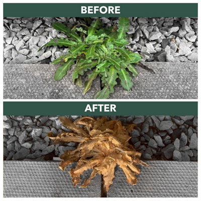 Enviro Works - Weedblast - 2 x 5 Litre Weedkiller - Long Hose Trigger - Multi-Pack - Fast acting (Ready to use) See results within - 3