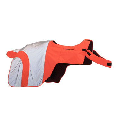 Equisafety Mercury Horse Exercise Sheet Orange (Pony) Price Comparisons | Compare The Build