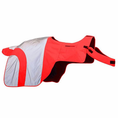Equisafety Mercury Horse Exercise Sheet Red (Pony) Price Comparisons | Compare The Build