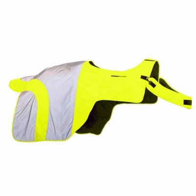 Equisafety Mercury Horse Exercise Sheet Yellow (X Full) Price Comparisons | Compare The Build