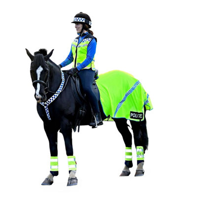 Equisafety Polite Mesh Breathable Horse Quarter Exercise Sheet Yellow (X Full) Price Comparisons | Compare The Build