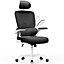 Ergonomic Office Chair,Swivel Computer Chair with Rocking Function and Flip-up Armrests,Black&White