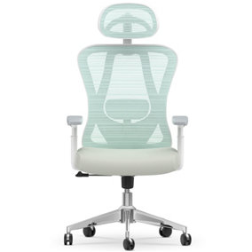 Ergonomic Office Chair with Hanger - Desk Chair with 2D Lumbar Support and 3D Headrest & Armrests-Green