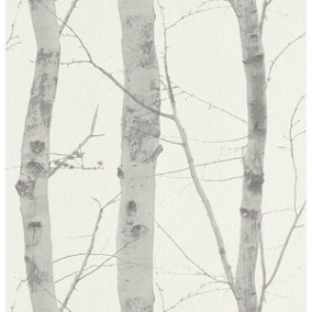 Erismann Paradisio Birch Tree Silver & Grey Wallpaper 6305-10