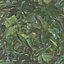 Erismann Tropical Palm Leaf Leaves Jungle Wallpaper Vinyl Botanical Greenery Green 10081-07