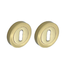 Escutcheon Polished Brass Pair Keyhole Cover Mortice Door Lock Cover