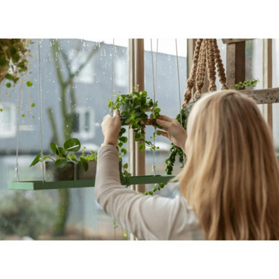 pothos jessenia Jessenia Pothos Plant Leaf Earring, Magnet, Accessory,Decor  Wild Lark
