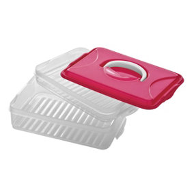 Essentials by Premier Hot Pink 2 Layer Food Container