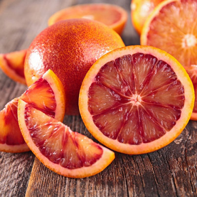 Established Blood Orange Citrus Fruit Tree in a 4-5L Pot
