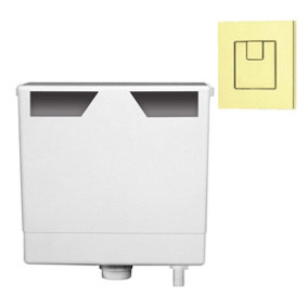Ether Compact Concealed Dual Flush Cistern with Gold Square Flush Button