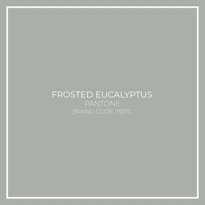 Eucalyptus Green Toughened Glass Kitchen Splashback - 900mm x 900mm