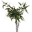 Eucalyptus Nicholii Spray Artificial Plant - Plastic - L46 x W46 x H128 cm - Green