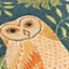 Evans Lichfield Hawthorn Owl Chenille Piped Cushion Cover