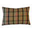 Evans Lichfield Hunter Highland Cow Rectangular Printed Feather Filled Cushion