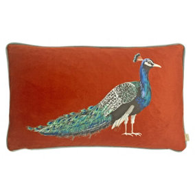 Evans Lichfield Peacock Rectangular Velvet Piped Feather Filled Cushion