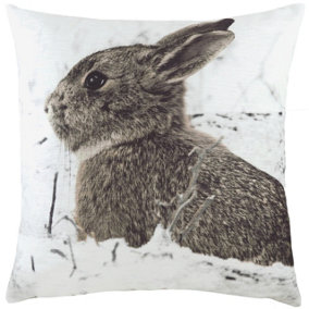 Evans Lichfield Photo Hare Printed Feather Filled Cushion