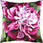 Evans Lichfield Winter Flowers Peony Velvet Cushion Cover