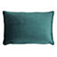 Evans Lichfield Zinara Leaves Rectangular Velvet Polyester Filled Cushion