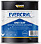 Everbuild Evercryl One Coat Instant Waterproofing Clear 1kg (Pack Of 3)