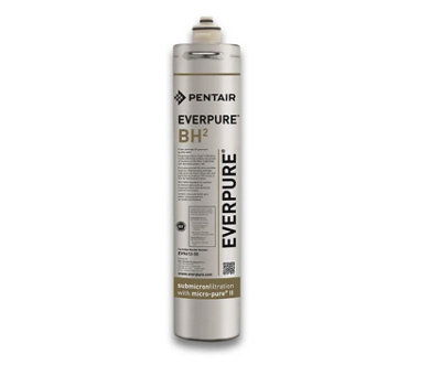 Everpure EV961250 BH-2 Boiler Water Filter