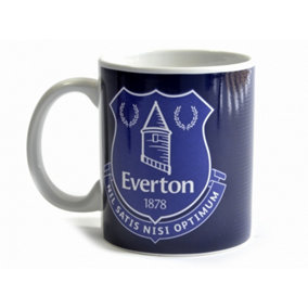 Everton Halftone 0.3kg Boxed Mug Navy (One Size)