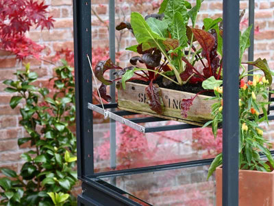 Exbury 3 Feet 4 Inches Classic Growhouse - Aluminium - L100 x W79 x H181 cm - Antique Ivory - 4