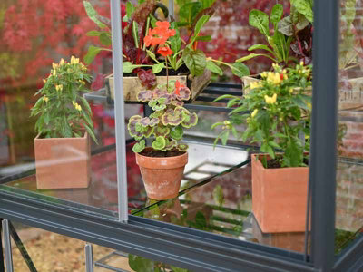 Exbury 3 Feet 4 Inches Classic Growhouse - Aluminium - L100 x W79 x H181 cm - Cotswold Green - 3