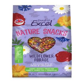 Excel Wildflower Forage 75g (Pack of 6)