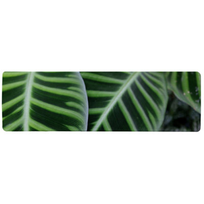 Exotic jungle setting Designer Runner Special Soft Home Rug