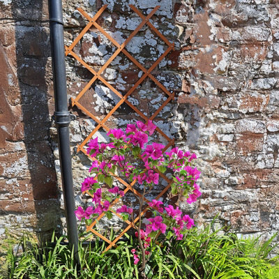 Expandable Garden Wooden Trellis Fence Expanding Divider 5ft Plant Support 3pcs