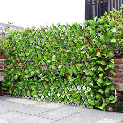 Garden trellis b&q top