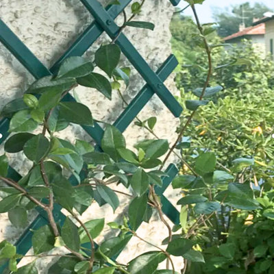 Expanding Garden Trellis Plastic Green - 4