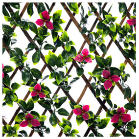 Expanding Wooden Trellis Privacy Screen - 200cm x 100cm - Garden Balcony Fence - Gardenia
