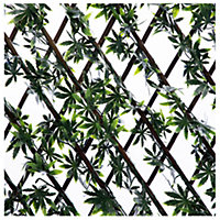 Expanding Wooden Trellis Privacy Screen - 200cm x 100cm - Garden Balcony Fence - Maple