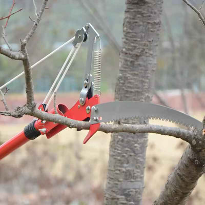Extendable Tree Pruning Saw High Reach Branch Cutter Garden Lopper 1PC