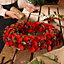 Extra Large Red Rose Spring Summer All Year Front Door Decoration Wreath 46cm