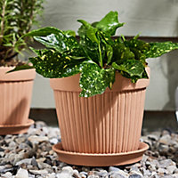 Extra Large Ribbed Flower Pot with Overflow Tray Orange Clay Indoor Outdoor Garden Succulent Cacti Houseplant Plant Pot
