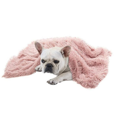 Extra warm dog outlet blanket