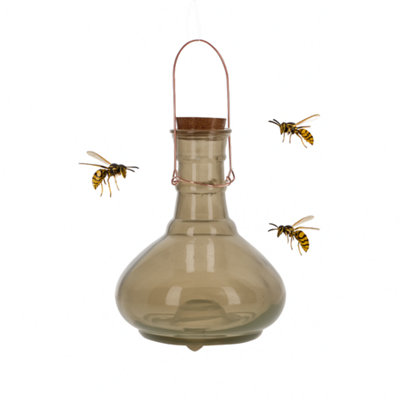 Extra Large Wasp Trap Catcher - Glass Honey Pot Bulbous Bottle Design ...