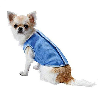 Extra small best sale dog clothes