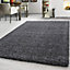 EXTRA THICK HEAVY 5CM PILE SOFT SHAGGY RUGS MODERN AREA RUGS BEDROOM HALL RUGS (Dark Grey, 120 x 170cm)