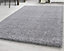 EXTRA THICK HEAVY 5CM PILE SOFT SHAGGY RUGS MODERN AREA RUGS BEDROOM HALL RUGS (Light Grey, 160 x 230cm)