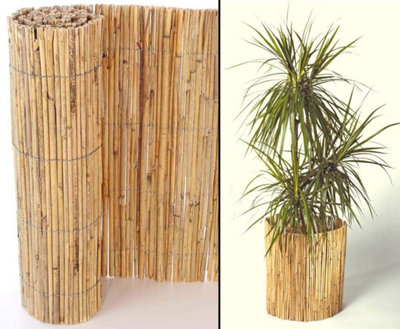Extra Thick Natural Bamboo Peeled Reed Fence Panel 1.2m x 3m Garden ...