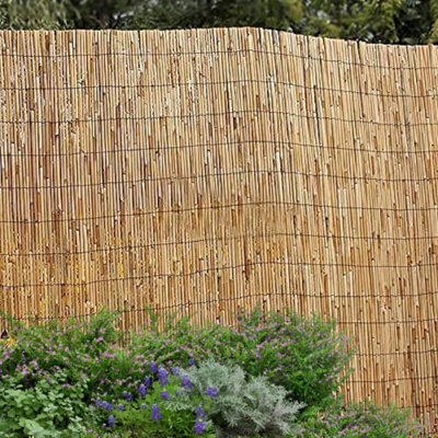 Extra Thick Reed (1mx5m) Fence Privacy Decorative Fencing Natural ...