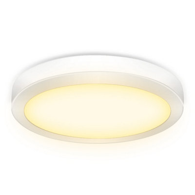 Extrastar 24W LED Surface Mount Integrated Ceiling Light Flush Light warm white