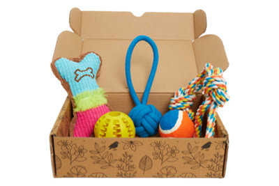 Image showcasing ExtraStar 4PCs dog toys for medium/large dog