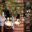 Extrastar G40 Outdoor Garden String Lights 7W 8M 25PCS halogen bulbs, IP44
