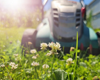 Garden tools advice